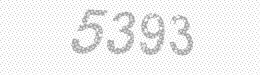 Visual security code — type the characters shown in the image